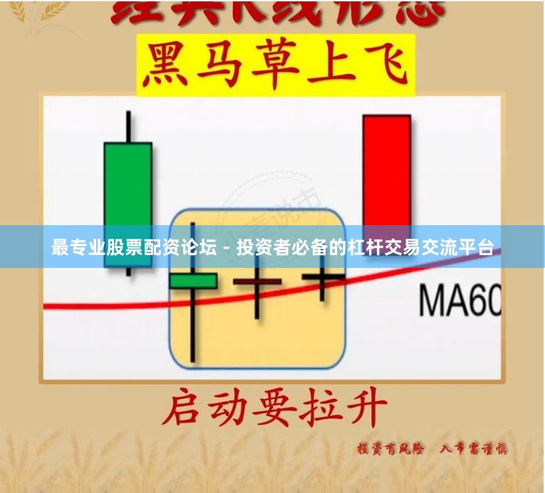 最專業股票配資論壇 - 投資者必備的杠桿交易交流平臺
